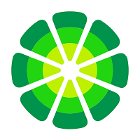 LimeWire 2027 5.5.16