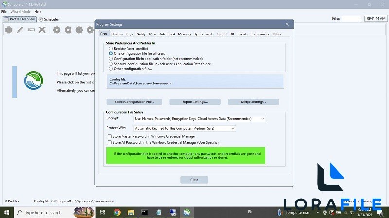 Syncovery Premium 11.13.7.177 screenshot