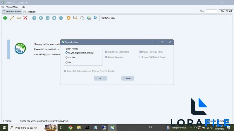 Syncovery Premium 11.13.7.177 screenshot