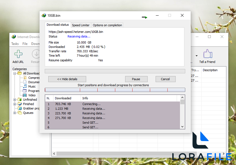 Internet Download Manager (IDM) 6.42.63 screenshot