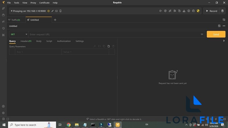Reqable 3.0.40 screenshot