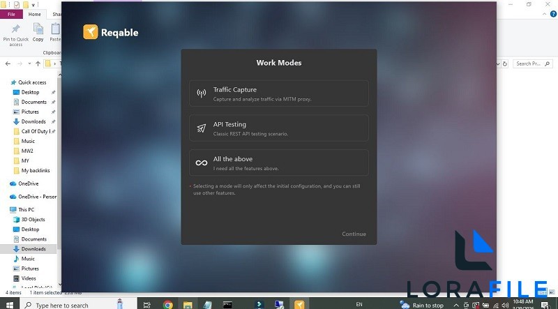 Reqable 3.0.40 screenshot
