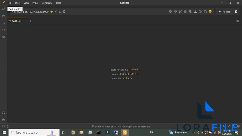 Reqable 3.0.40 screenshot