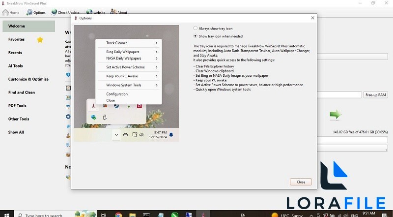 TweakNow WinSecret Plus 9.0 screenshot