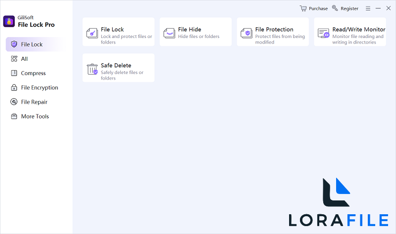 GiliSoft File Lock Pro 15.7.0 screenshot