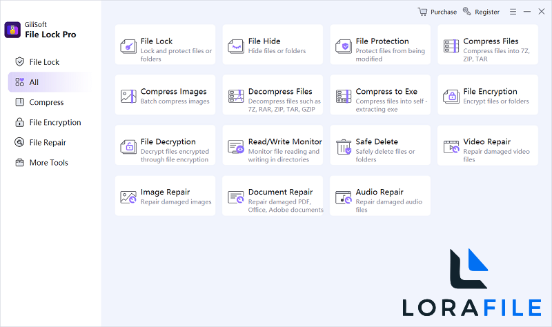 GiliSoft File Lock Pro 15.7.0 screenshot