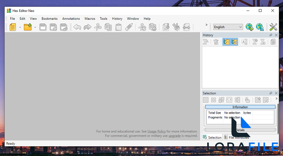Hex Editor Neo 8.05.00.9372 screenshot