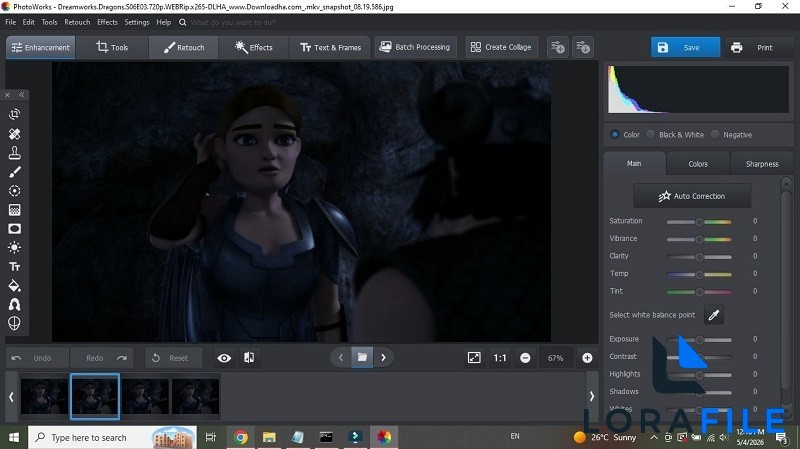 AMS PhotoWorks 22.0 screenshot