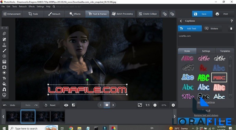 AMS PhotoWorks 22.0 screenshot
