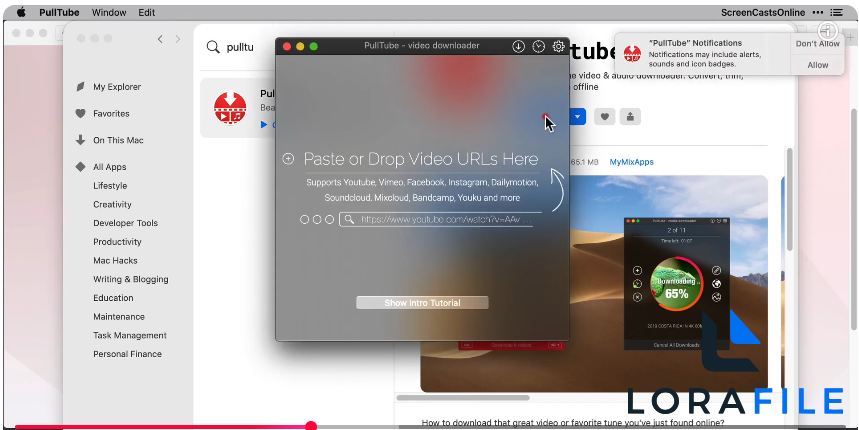 PullTube 1.8.6.29 screenshot