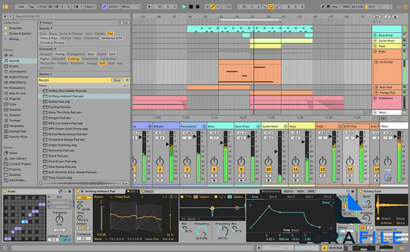 Ableton Live Suite 12.4 screenshot