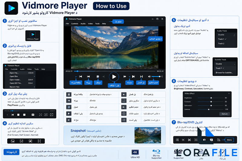 Vidmore Player 1.1.70 screenshot
