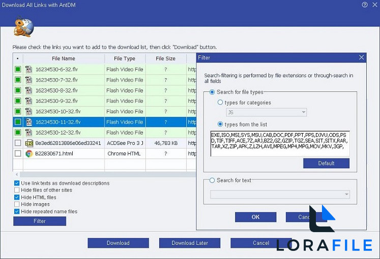 Ant Download Manager 2.17.3.95883 screenshot