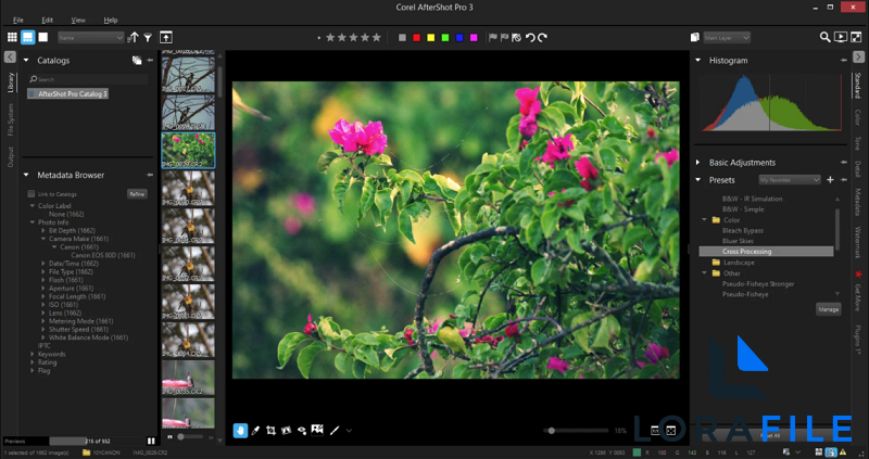 Corel AfterShot Pro 3.7.0.446 screenshot