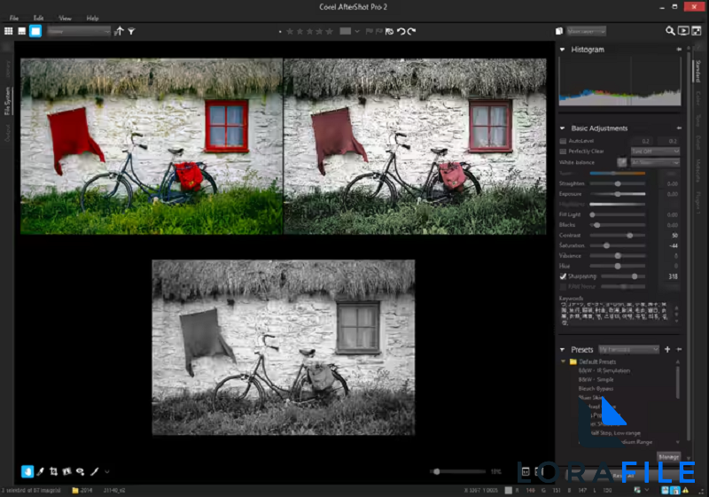 Corel AfterShot Pro 3.7.0.446 screenshot