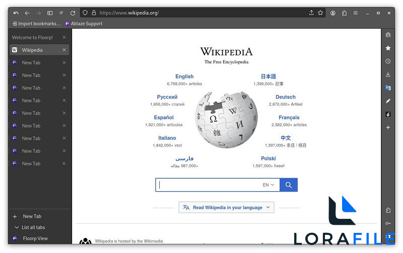 Floorp 2027 12.19.0  screenshot