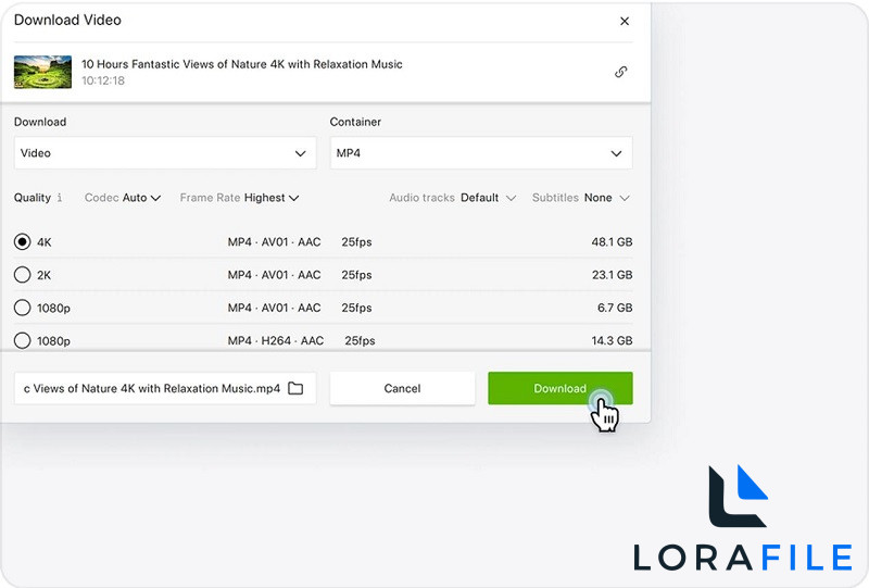 AIO Download Manager 2027 screenshot