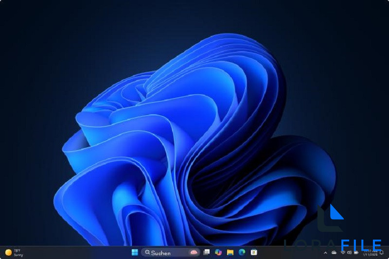 Windows 11 Pro Lite 25H2 Build 26200.8894 screenshot